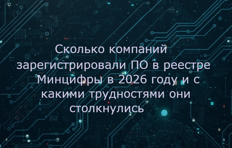 Сколько компаний зарегистрировали ПО в реестре Минцифры в 2026 году и с какими трудностями они столкнулись